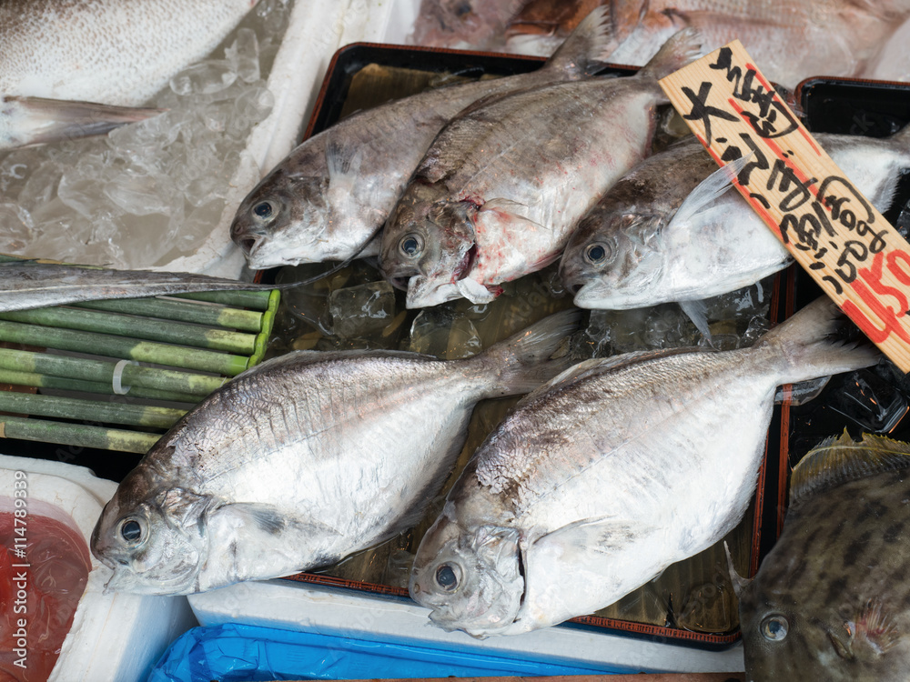 鮮魚店に並んだエボダイ 鮮魚店に並んだエボダイ