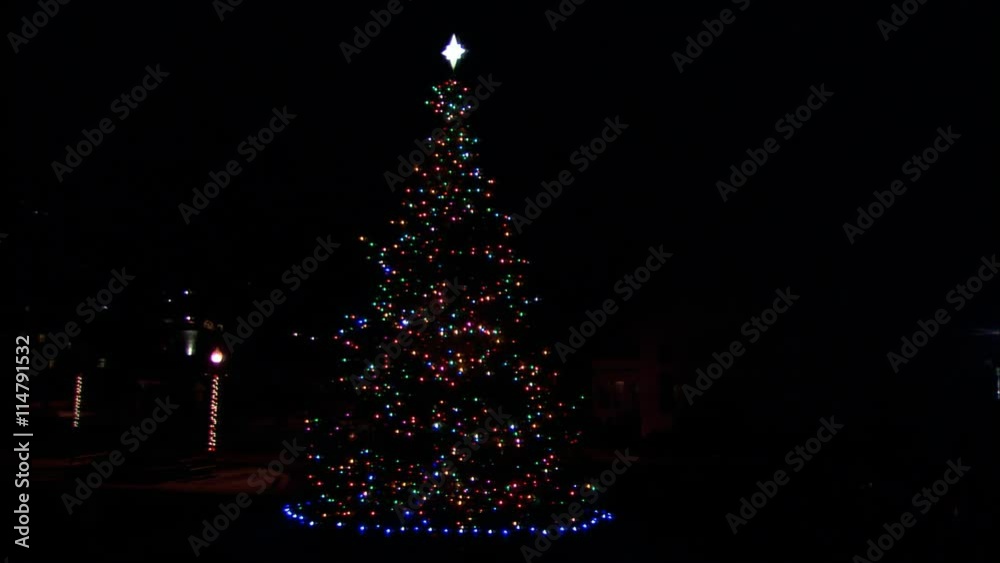 An outdoor Christmas tree at night decorated with twinkling lights and a star
