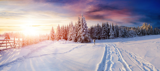 Tableau sur plexiglas Hiver Route hivernale enneigée en forêt  © standret
