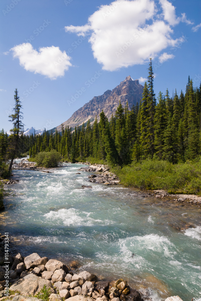 Astoria river in Jasper National Park, Canada Astoria river in Jasper National Park, Canada