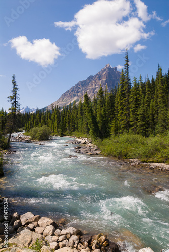 Astoria river in Jasper National Park, Canada