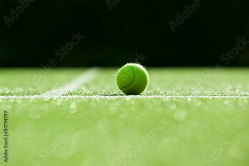 selective focus. tennis ball on tennis grass court good for back © kireewongfoto