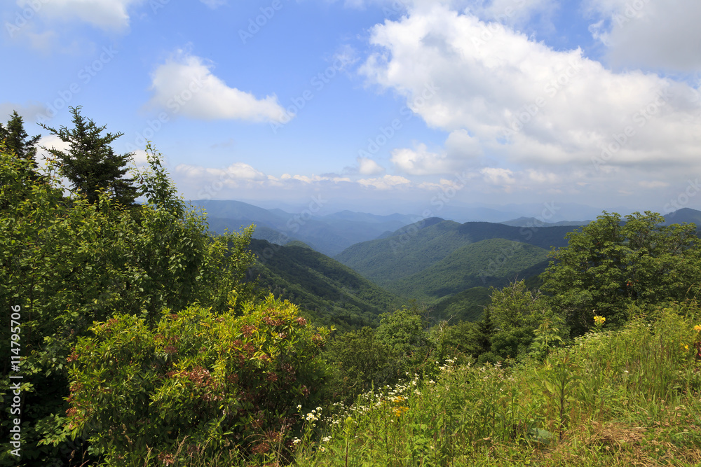 Blue Ridge Parkway View of the Mountains in Summer