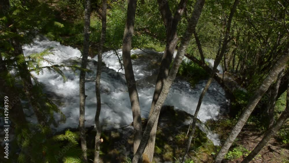 Fast mountain river sight through the woods. First the camera is steady, and then is panning down the river. Fast mountain river sight through the woods. First the camera is steady, and then is panning down the river.