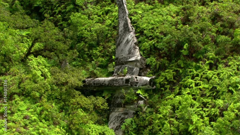 Partial orbit of WWII plane crash in Hawaiian forest