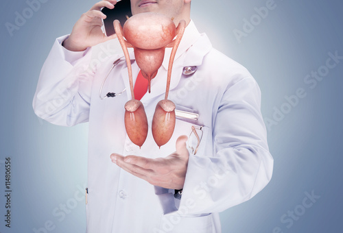 Doctor holding human organs and talking on the phone