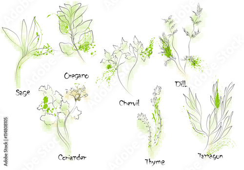 herbs