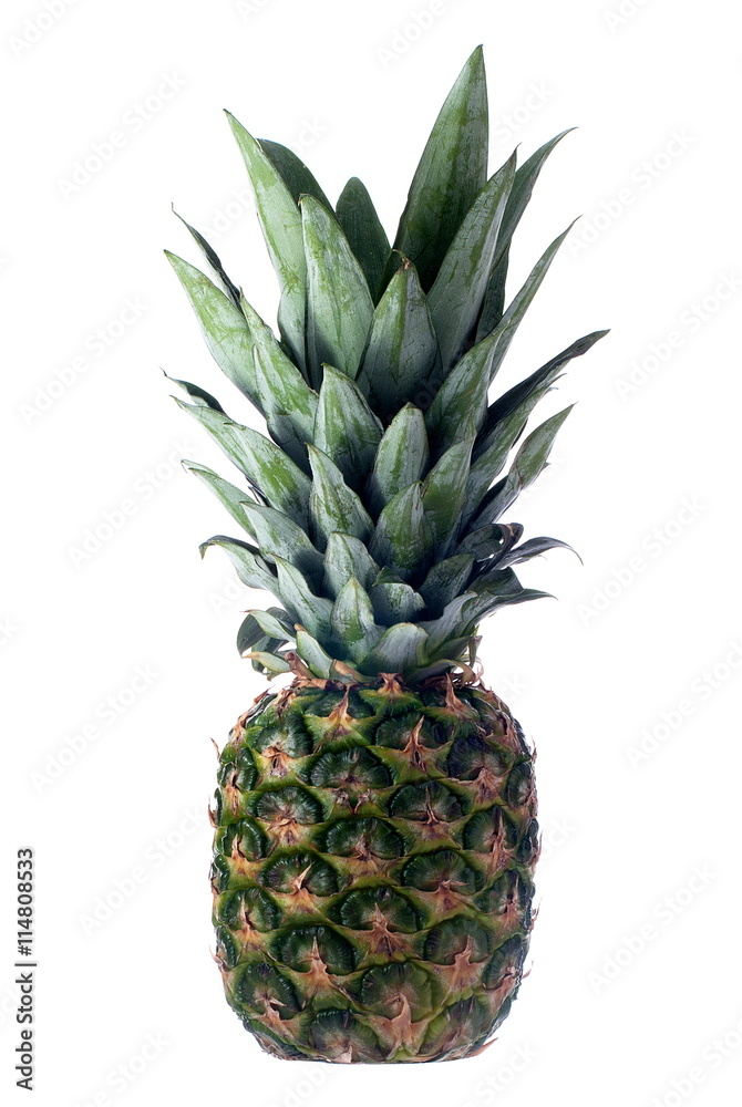 Fototapeta premium pineapple isolated on white background