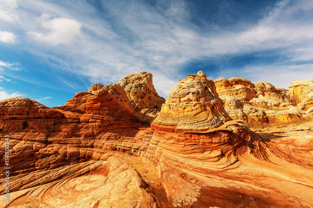 Fototapeta premium White pocket