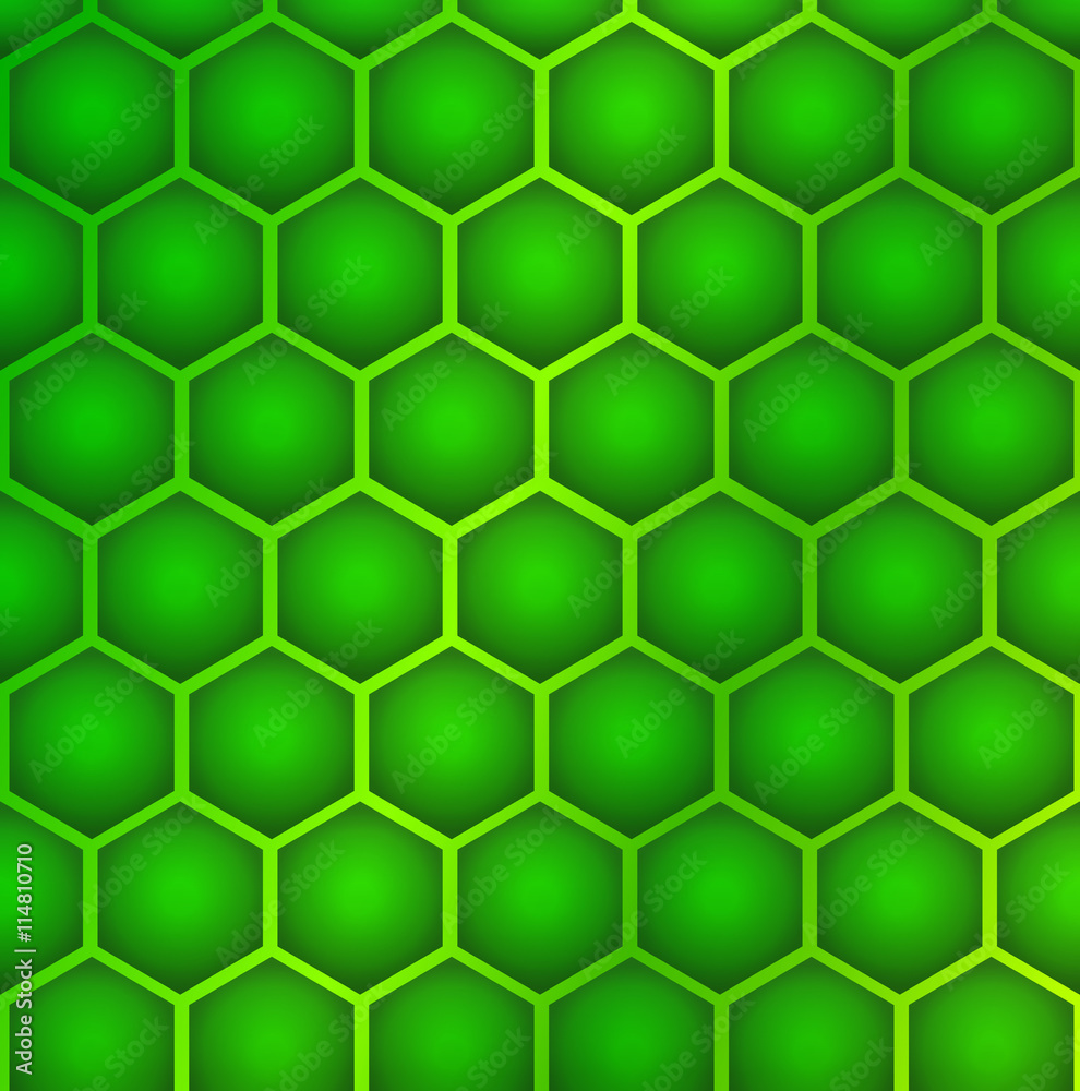 hexagon cell background hexagon cell background