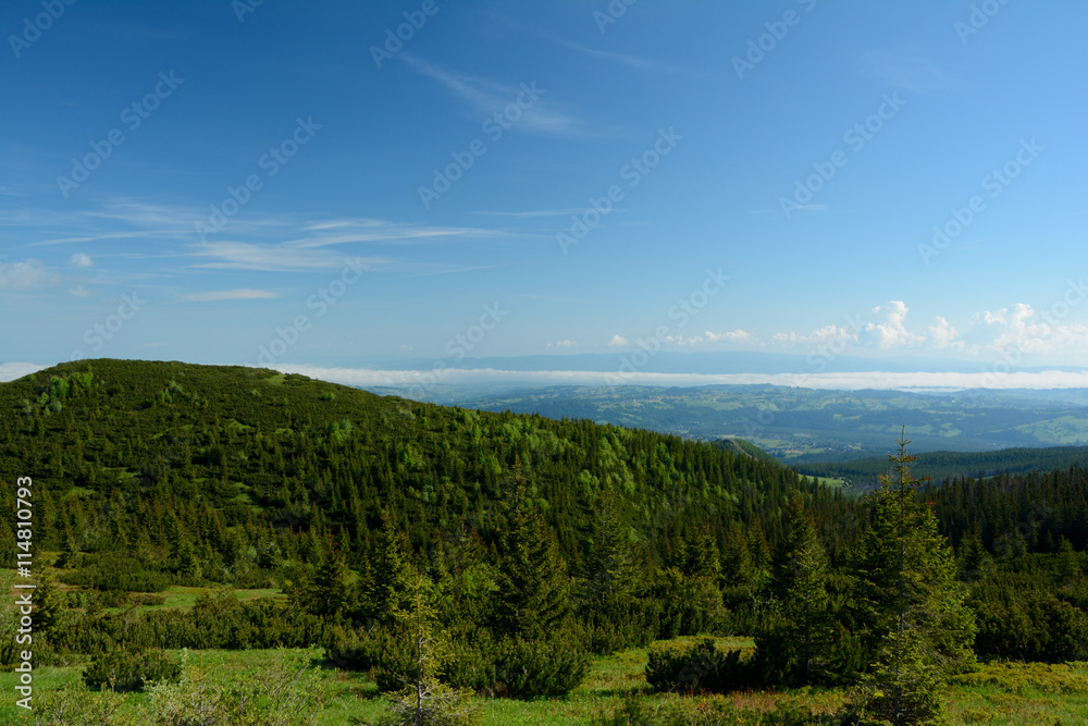 View from trail from Gasienicowa valley to Kuznice