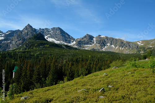 Meadow, peaks and trees in Gasienicowa valley