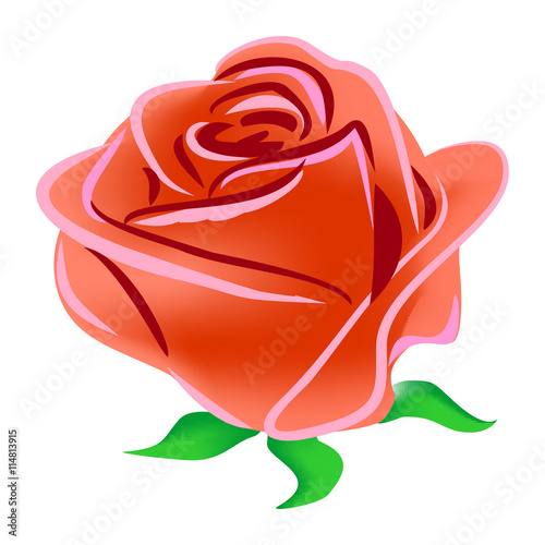 Red rose hand drawn vector illustration isolated on white background. Summer flower blossom. Graphic element. Clip art illustration. Greeting card for birthday, wedding, valentines, mothers day event