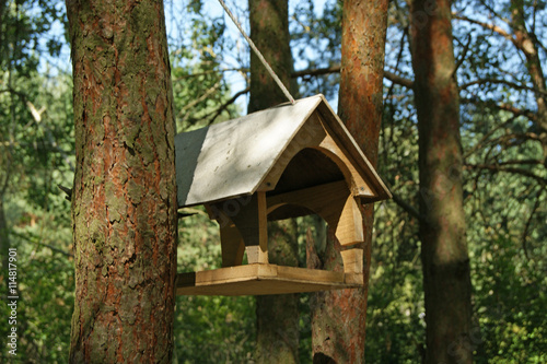 Bird feeder hanging on the tree in the forest