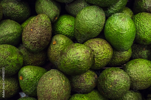 Organic Avocados Produce