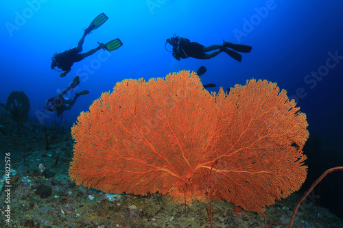 Scuba diving exploring coral reef