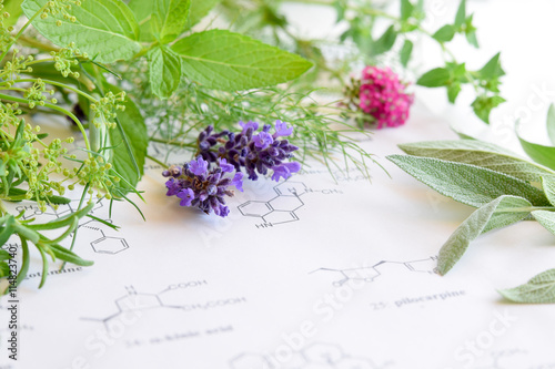 Photography medicinal herbs on science background