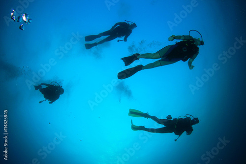 Scuba diving group silhouettes
