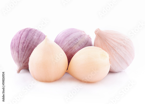 Elephant Garlic on white background