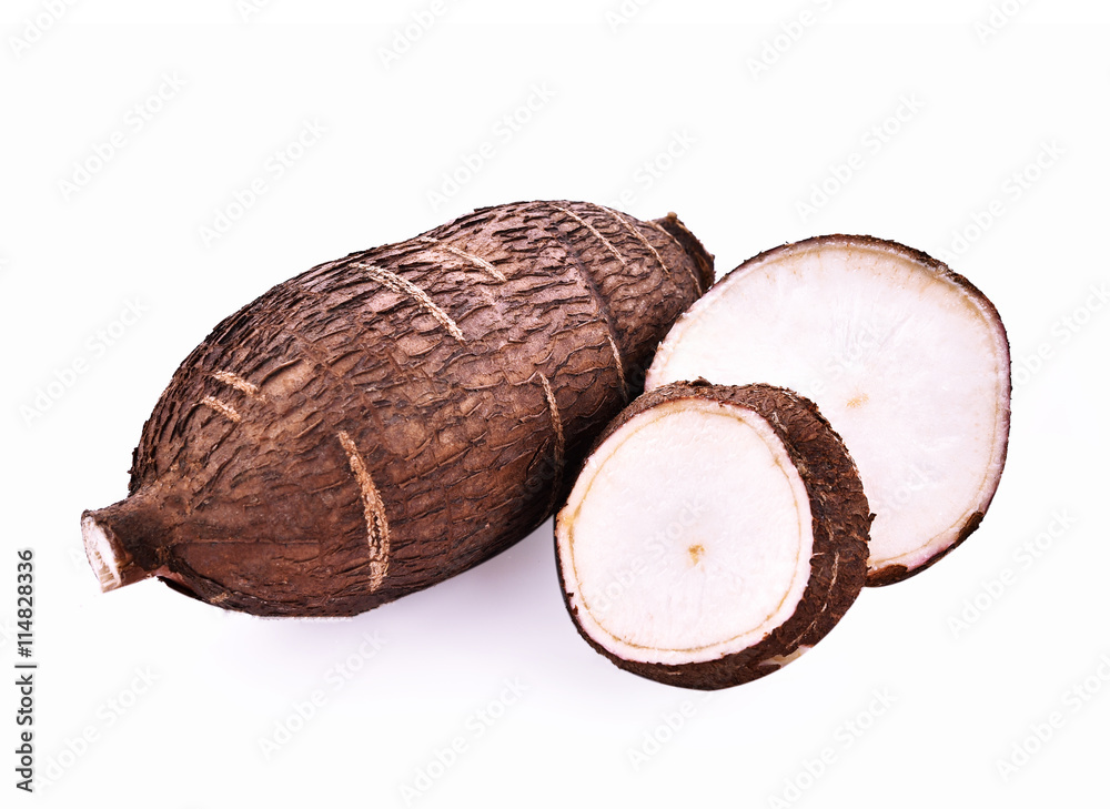 Cassava root isolated on white background
