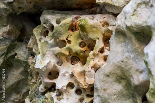 honeycomd volcanic stone background