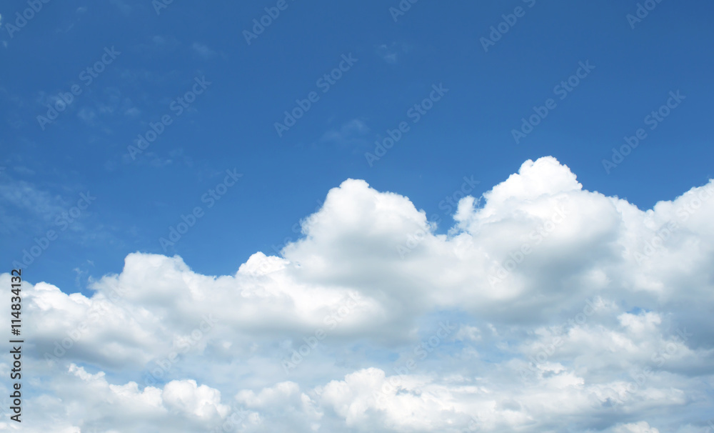 Fototapeta premium blue sky