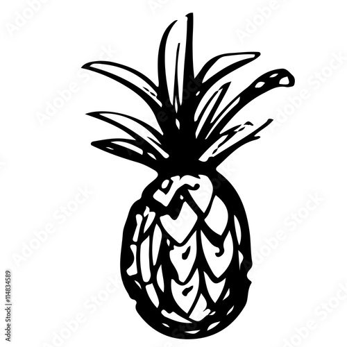 Pineapple sketch hand drawn isolated