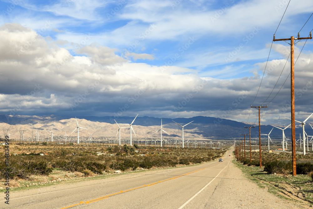 Fototapeta premium field of wind turbines