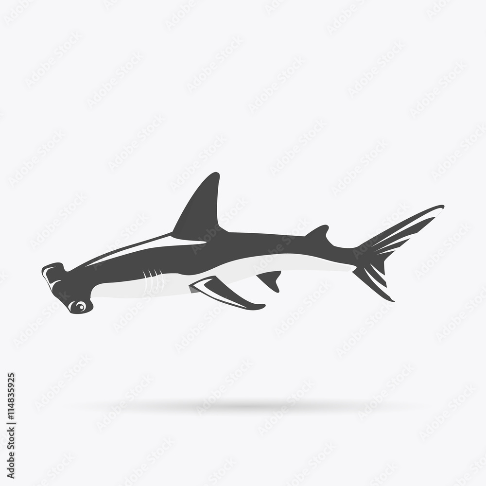 Obraz premium Hammerhead Shark Icon