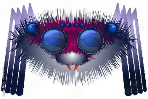 Big Hairy Spider