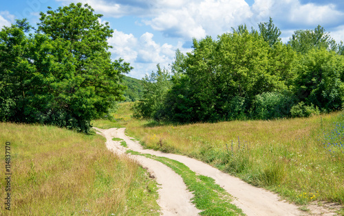 Country road in forest and sky