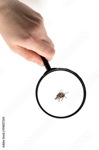 Hand holding magnifying glass isolated on white background