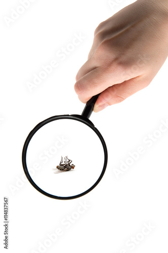 Hand holding magnifying glass isolated on white background