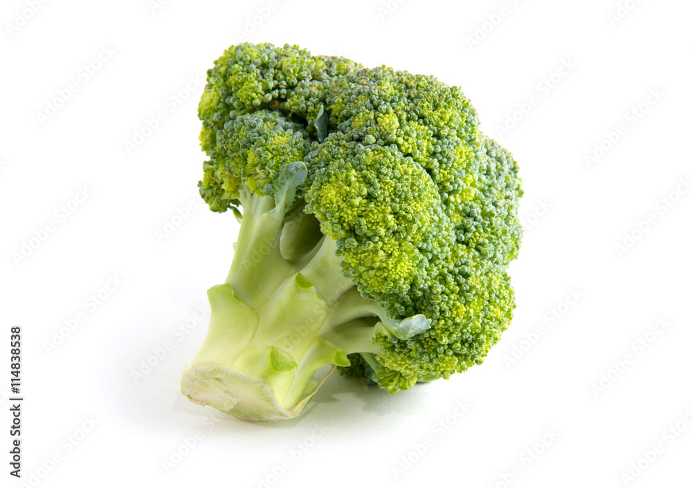 Broccoli isolated on white background Broccoli isolated on white background