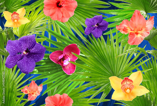 Fototapeta Naklejka Na Ścianę i Meble -  Tropical background with palm and different flowers. Floral clip art with layers effect. Seamless pattern.