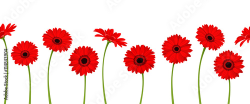 Foto Vector horizontal seamless background with red gerbera flowers.