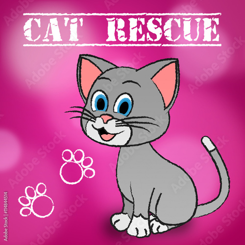 Cat Rescue Indicates Pets Saving And Recovering © Stuart Miles