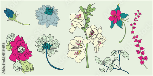 Obraz na plátně flower vector element set