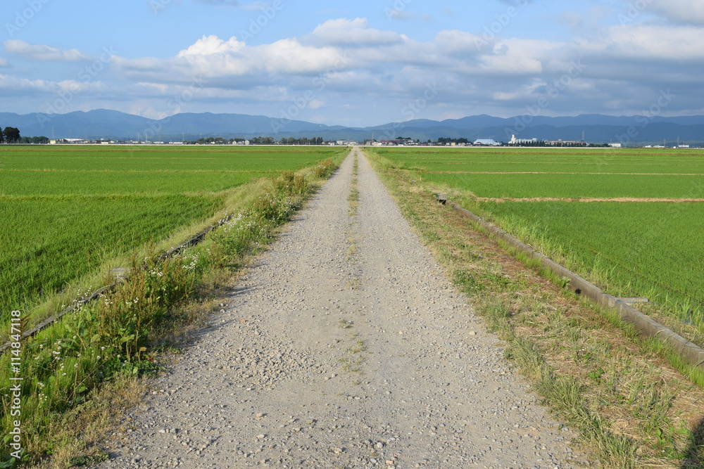 農道と田園風景 ／ 山形県の庄内地方で、農道と田園風景を撮影したローカルイメージの写真です。