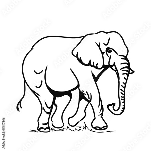 Big elephant  contour 