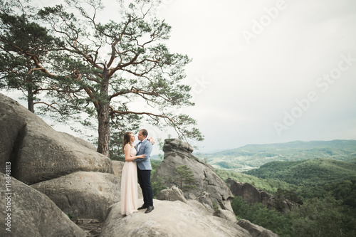 Wedding couple in love kissing and hugging near rocks on beautiful landscape