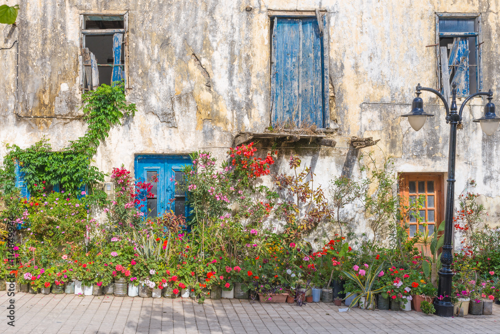 Flowers, ornamental plants and greenery at a house in Paleochora in the south-west of Crete. The village is situated on a headland. The citizens of the village decorates all the homes