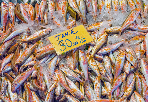 Striped red mullet for sale at a market in Istanbul, Turkey photo