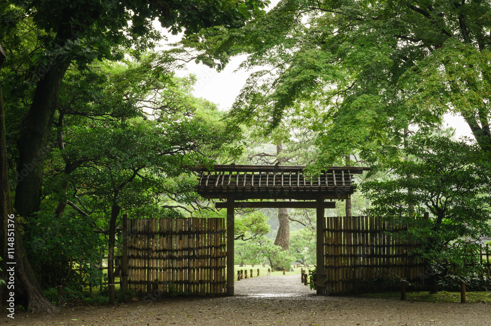 Obraz premium 日本庭園