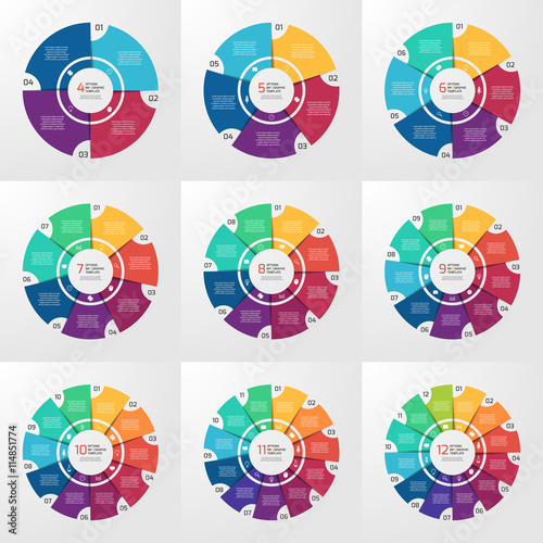 Vector circle infographic template for graphs, charts, diagrams. Pie chart concept with options, parts, steps, processes.
