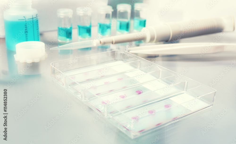 Blurred background for histopathology-related design Blurred background for histopathology-related design