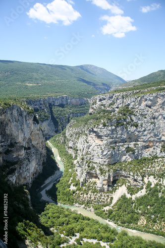 lavandes en provence