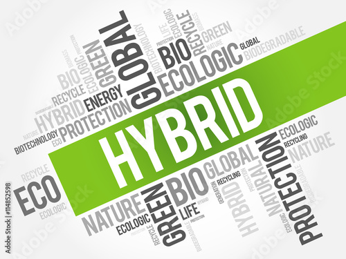 Hybrid word cloud, conceptual green ecology background