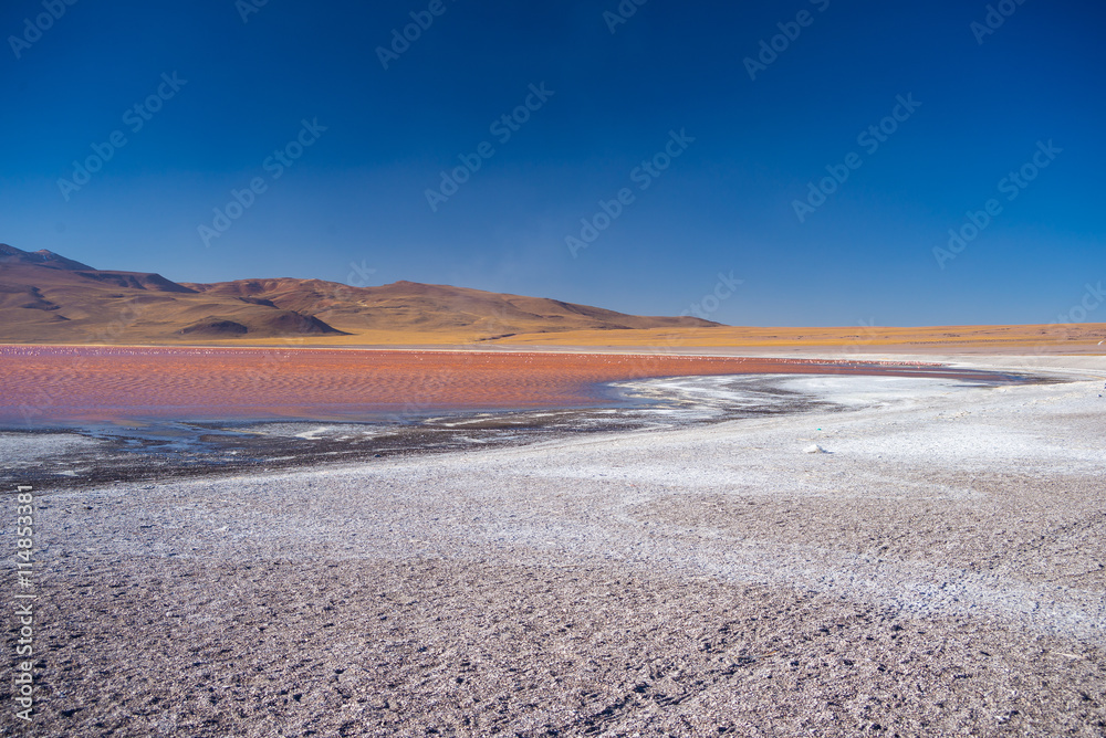Multicolored Salt Lake with flamingos on the Bolivian Andes