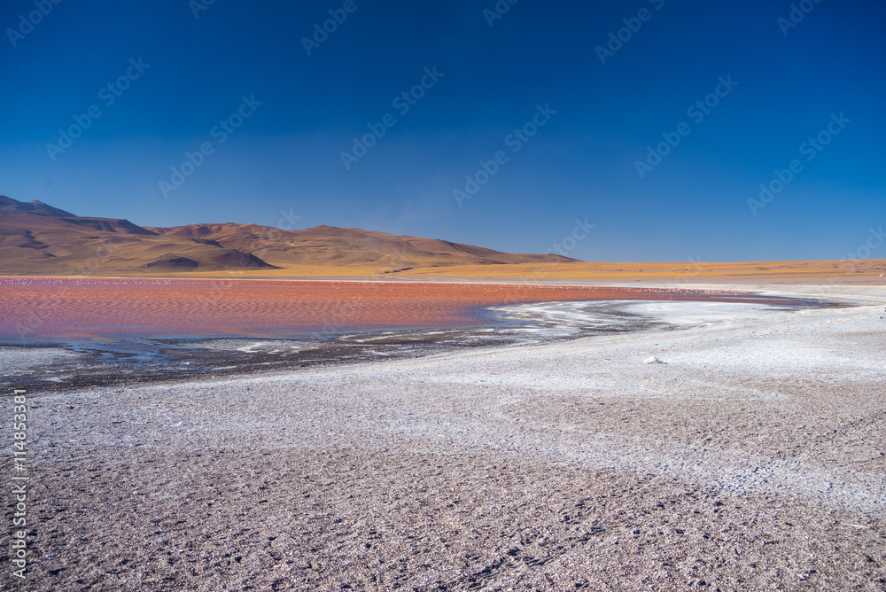Multicolored Salt Lake with flamingos on the Bolivian Andes Multicolored Salt Lake with flamingos on the Bolivian Andes